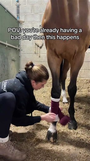 When your horse makes a bad day even worse