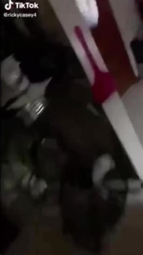 #lol! #cleanmeme #cleanmemes #cleanfunny #cleancomedy #familycomedy #kidfriendlycomedy #cleanlaughs