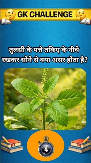 What is the effect of sleeping with basil leaves under the pillow? #GKChallenge #Tulsi #HomeRemedy