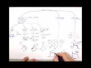 Cardiac Drugs Part 3: Inotropic Drugs