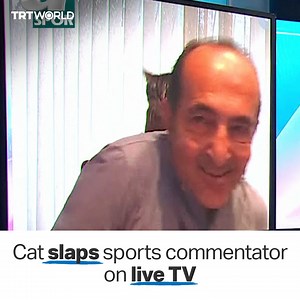Sports commentator, Huseyin Ozkok was interrupted by his cat who slapped him during a live TV teleconference. “Did you bring your cat?” the anchor asked jokingly. Ozkok said he was a guest at the house where the cat was living. | TRT World