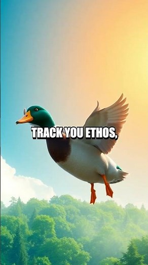 The Adventurous Journey of DuckDuckGo