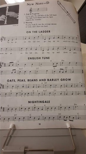 Recorder Lesson 23: New Note "D"