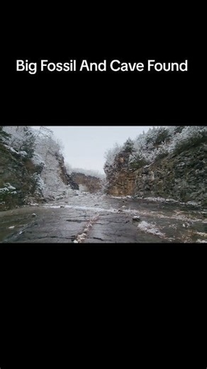 14 reactions | Big Fossil And Cave Found | James Robinson | Facebook