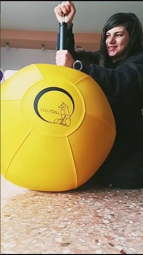 The CollieBall Original Herding Ball for Dogs helps turn excess energy
