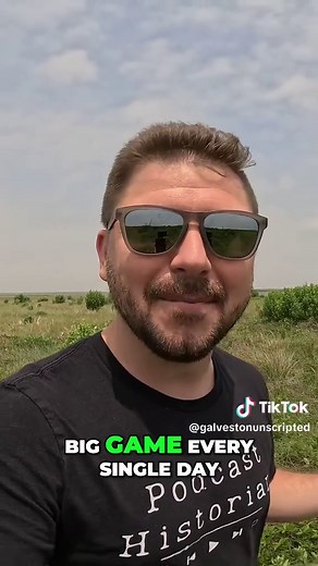 Ancient Shell Middens #ShellMidden #GalvestonBay #Archaeology #NativeAmericanHistory #TexasHistory #CoastalLife #HistoryDocumentary #Oysters #ArchaeologicalDig #GalvestonIsland #ShellMidden #GalvestonBay #Archaeology #NativeAmericanHistory #TexasHistory #CoastalLife #HistoryDocumentary #Oysters #ArchaeologicalDig #GalvestonIsland