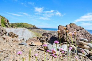 Whithorn Way Glasgow to Whithorn - British Pilgrimage Trust
