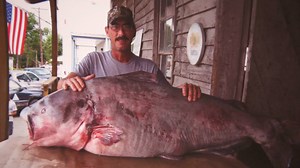 613K views · 1.7K reactions | ARE YOU READY TO TOP THIS RECORD? – The Missouri state AND world record catch for blue catfish was broken in 2010, and it’s a whopper of a story. See for yourself in this video. – Kipp@MDC | Missouri Dept. of Conservation | Facebook