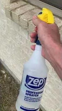 Mold on Brick and Stucco removal - cheap and easy All Natural- works for me