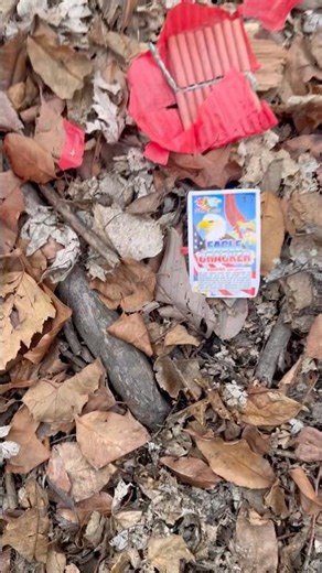 World class firecrackers VS Pyro eagle firecrackers comparison #fireworks #shorts ￼