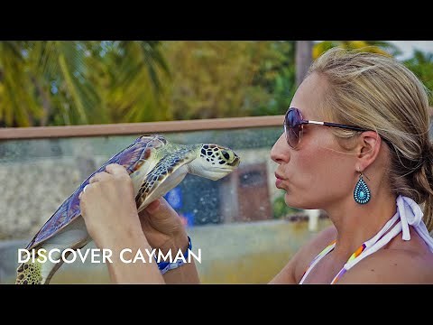 Discover Cayman | Shore Excursion | NCL