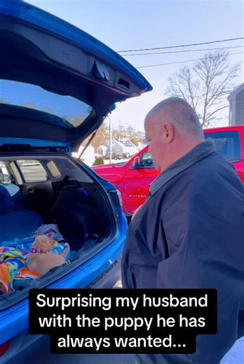 Best Puppy Gifts Emotional Surprises #dogsoftiktok #doglovers #cat #kitten #catsoftiktok #puppy #dog #surprise #gift #emotional #hearttouching #wholesome #heartwarming #crying #reaction #fyp