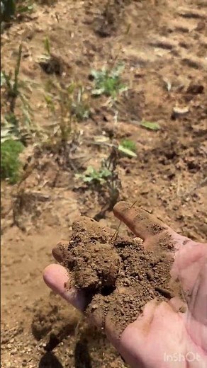 Do this first when developing land. Perc Test!