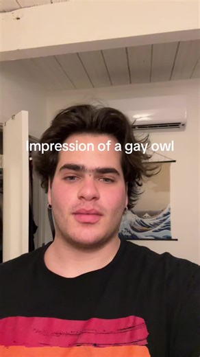 Moray (@moraybabyy)’s video of Owl