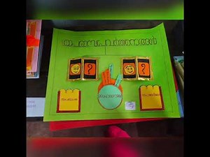 B.ed - science innovative chart ideas