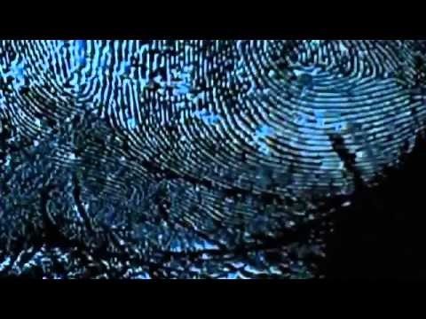 The Hunt For Bigfoot - Documentary