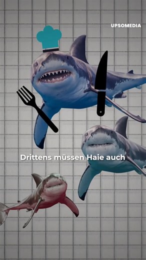 Man hat es mehr als einmal versucht, aber es ist praktisch unmöglich: Der Weiße Hai kann nicht in ein Aquarium gesetzt werden, und jetzt erklären wir den Grund dafür. | Wissen