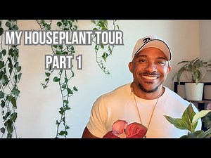 Houseplant Tour 2025 🌿 | Rare & Easy-Care Indoor Plants You’ll Love (Part 1)