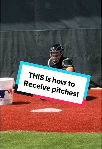 Spring Training Tips for Catchers: Enhance Your Skills