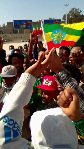 meshanalysis on TikTok