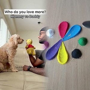 Mini Cockapoo Picks Between a Toy or Her Parents 😳 #dog #pov #foryoupage #shorts#funny#humor#asmr