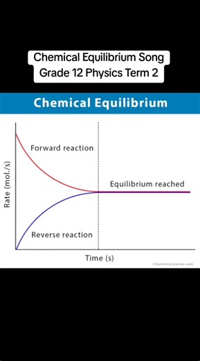 Understanding Chemical Equilibrium in Grade 12 Physics