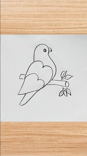 How to draw bird drawing easy step by step