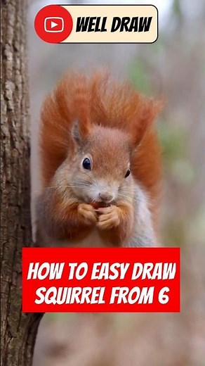 How to easy draw squirrel from number 6 step by step simple drawing for kids and beginner