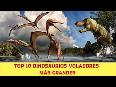 TOP 10 DINOSAURIOS VOLADORES MÁS GRANDES