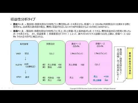 SAP CO-PA 収益性分析 - KEA0 分析対象設定