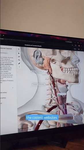 Explore the Human Body in 3D! (BioDigital Human) 🫀🧠