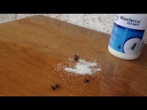 Maxforce Fly Bait Granular application in poultry