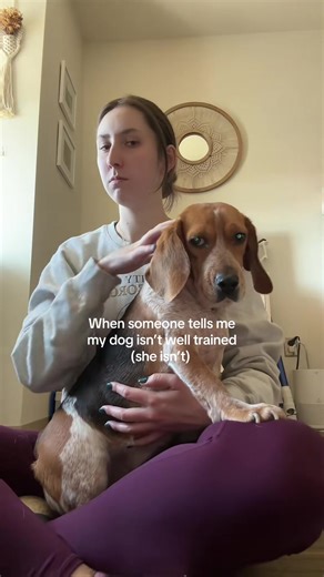 Puppy Training Tips for Beagle Owners