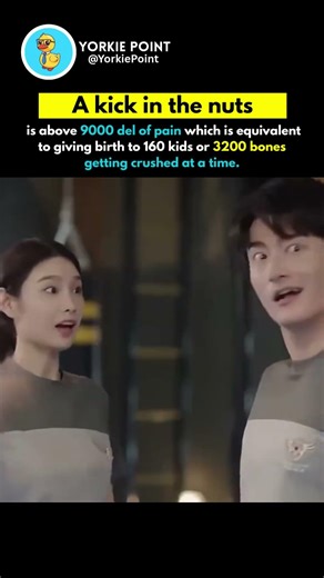 Kick In The Nuts 🤬