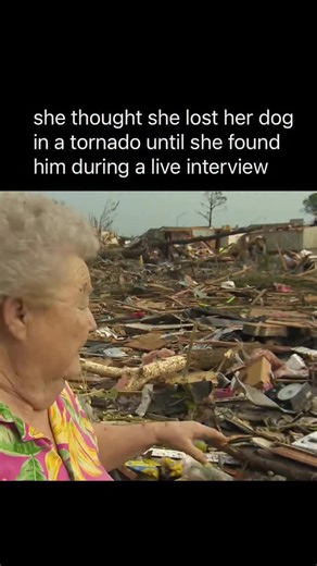FBOY on Instagram: "An elderly woman whose home was destroyed by the Oklahoma tornado found her pet dog among the rubble during a live TV interview. The footage of Barbara Garcia came as fellow survivors began reliving the terror they felt while winds of up to 200mph obliterated their neighbourhoods. Mrs Garcia was standing among the twisted wreckage of her home as she was interviewed about her experiences by a reporter from CBS. “I was sitting on the stool holding my dog,” she said. “This was t