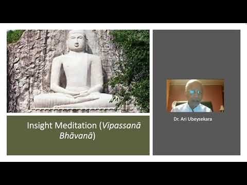 Insight Meditation by Dr. Ari Ubeysekara
