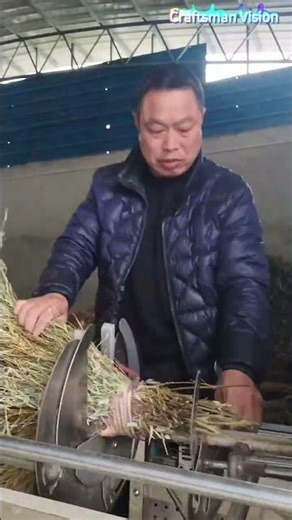 The production process of bamboo branch brooms