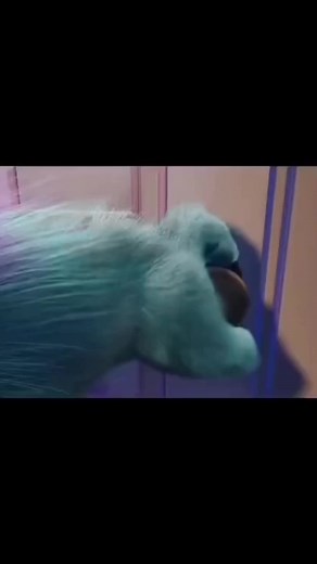 Monsters Inc Door Meme Compilation