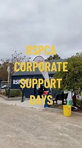 130 reactions · 16 shares | Is this the best team-building day you'll...