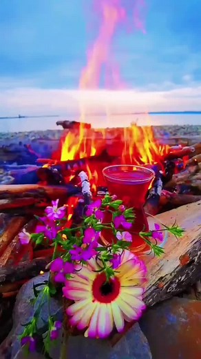 Captivating Flower Close-Ups and Serene Nature Scenes