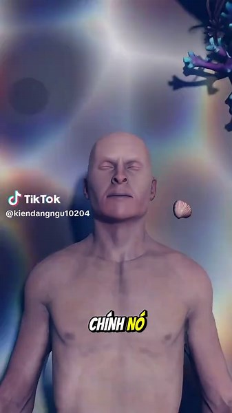 Lý do khiến thi thể nổi lên rồi chìm xuống