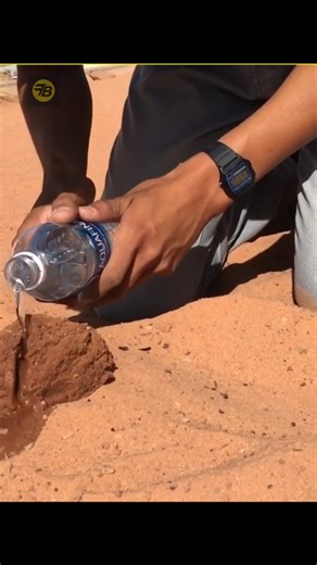 ये है असली बात 😮|Facts|Factsbox|Facts in hindi|#facts#shorts