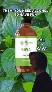 Kava has been shown in scientific studies to: • Calm occasional feelings of anxiety • Promote restful sleep and relieve occasional, mild sleeplessness • Support feelings of well-being • Calm the nervous system Have you had your stress levels tested? 🧐🫵 Follow for more health & wellness education ✨ #fypシ #fyp #foryou #foryoupage #fypage #explore #exploremore #explorepage #viral #viralreels #viralvideo #viralvideos #holistic #holistichealth #holistichealing #health #heal #healing #healthy #healt