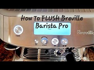 How to FLUSH Breville Barista Pro #cleaning #espressomachine