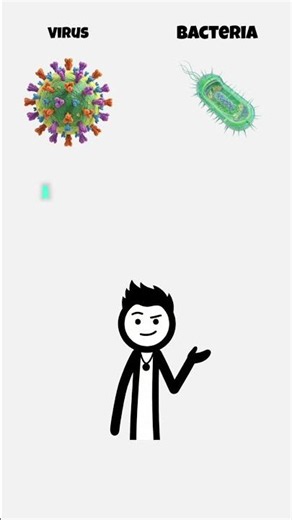 Virus vs Bacteria 🦠 What's The Difference?
