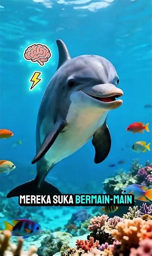 Halooo aku sidolphine dan chaca #animalshorts#binatanglaut#dolphins#pausorca#satwapedia#hewanlucu