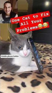 "One Cat to Fix All Your Problems… Almost!"😂 #FunnyCats #CatLifeHacks #CatComedy #cats #fyp #funny