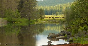 Wood River Photo Essay