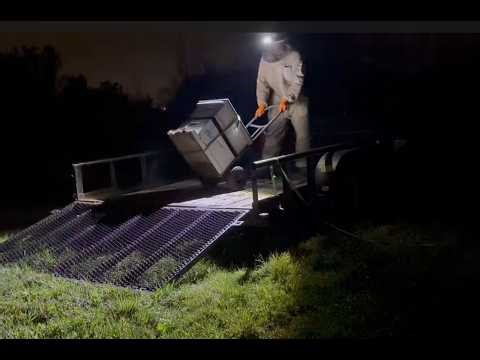 A New Beginning at the Birdnest Farms Apiary