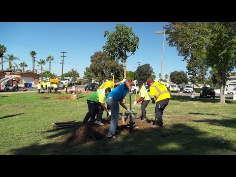 Mayor Todd Gloria and Local Students Plant Trees for Kate Sessions Day